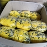 Шнур для пакетов с наконечником, желтый, 5 мм